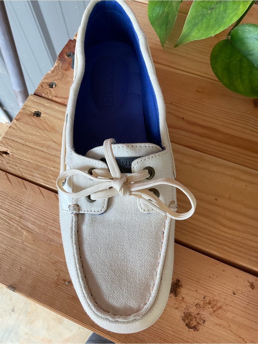 Sperry Canvas Boat Shoes - White. Size 10 - Picture 4 of 8